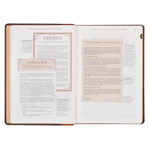 Brown/Ginger Faux Leather Spiritual Growth Bible