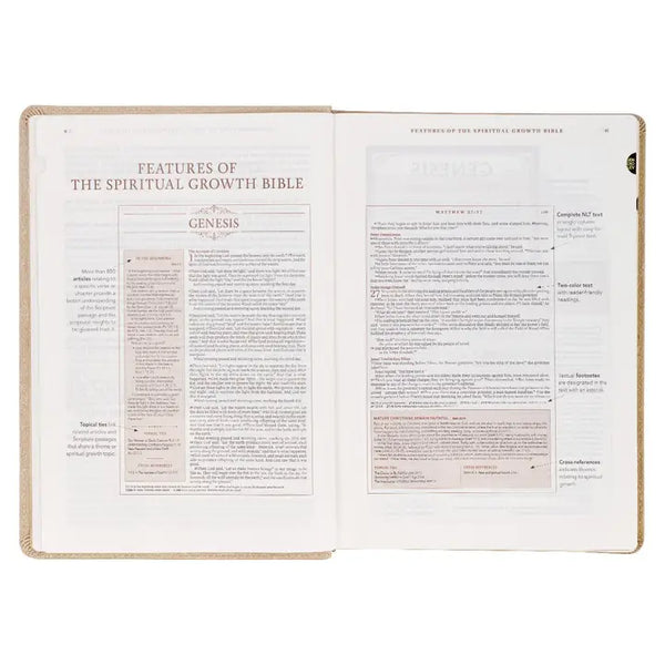 Pearlescent Taupe Faux Leather Spiritual Growth Bible