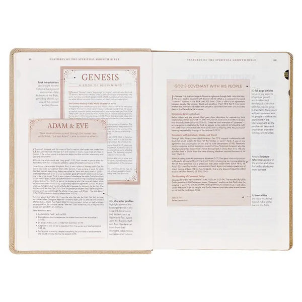 Pearlescent Taupe Faux Leather Spiritual Growth Bible