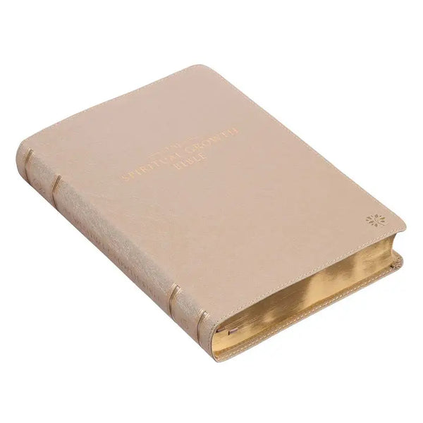 Pearlescent Taupe Faux Leather Spiritual Growth Bible