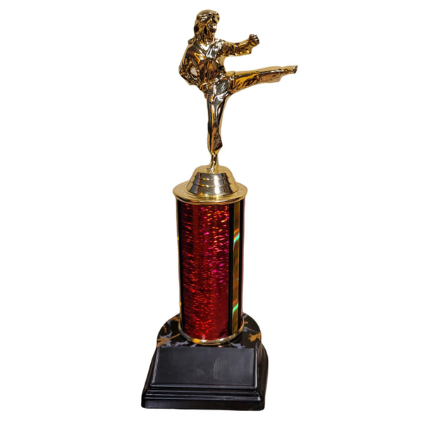 Karate Trophy w/ Colored Column