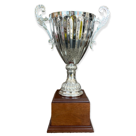 silver metal cup trophy on wood base