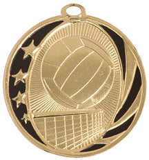Gold and black volleyball medal with stars and volleyball net design