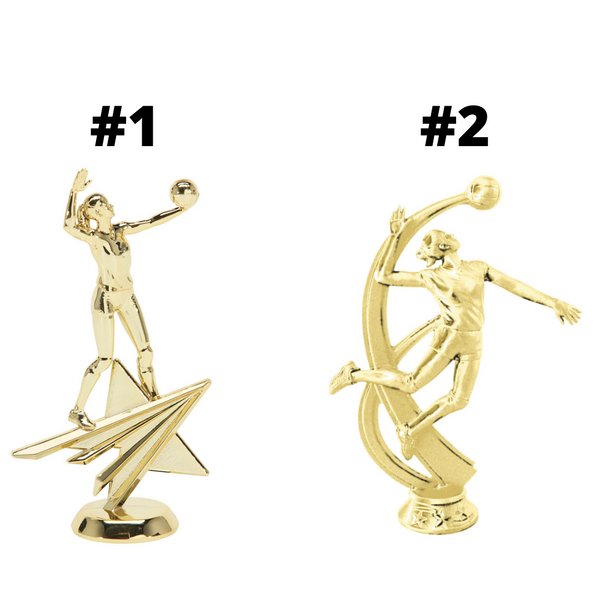 Volleyball Trophy - Colored Column