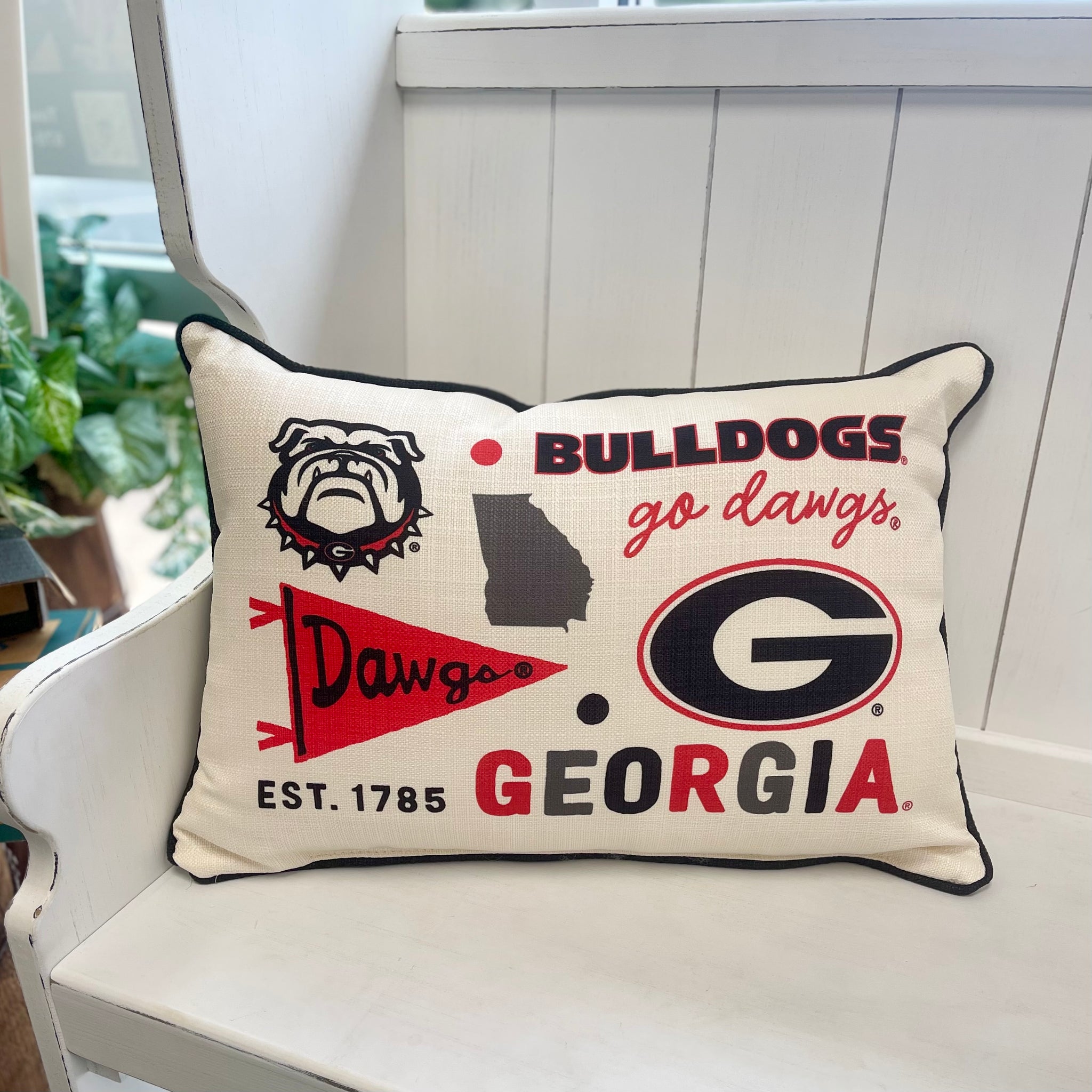 Georgia Collegiate Cluster Pillow