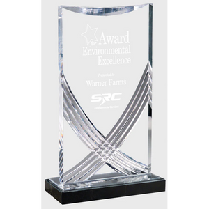 Acrylic Award - Clear Nile Rectangle