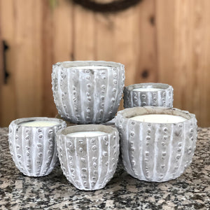 Candle - Concrete Cactus | 30oz