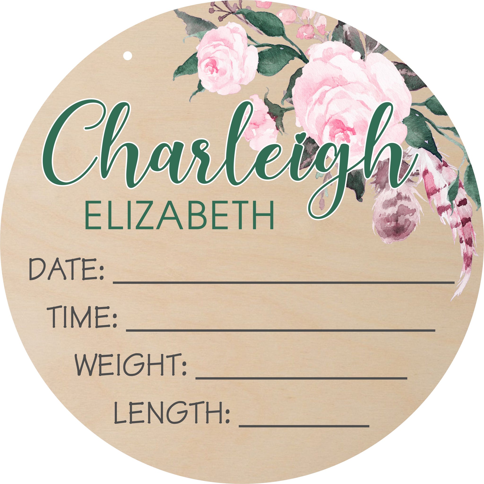 baby birth announcement door sign