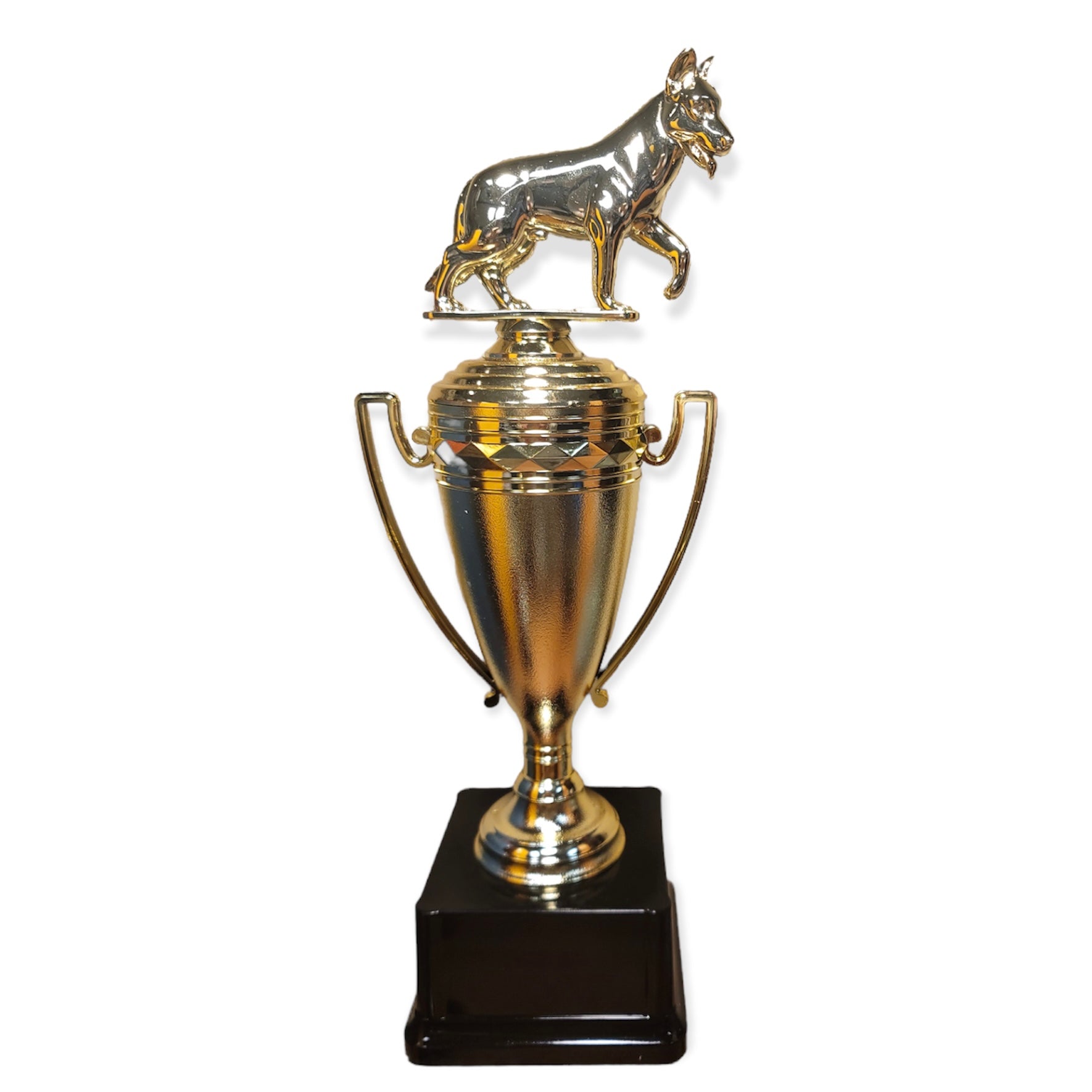 dog show gold cup trophy with engraved plate
