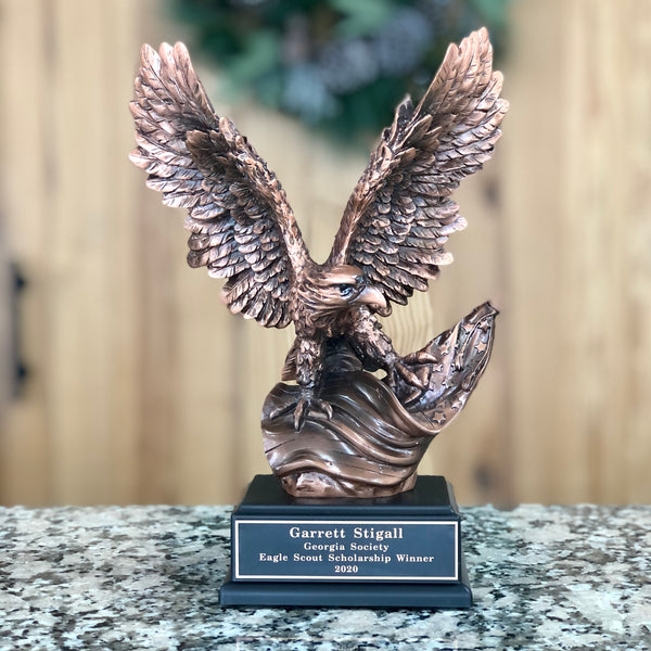 Eagle Award 19"