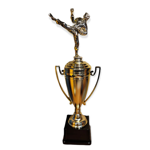 karate cup trophy with free engraved plate