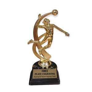 shiny gold volleyball trophy with free engraved plate