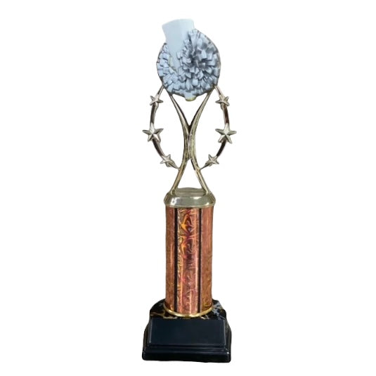 color sport cheer trophy