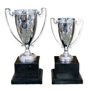 silver cup trophy on marble base