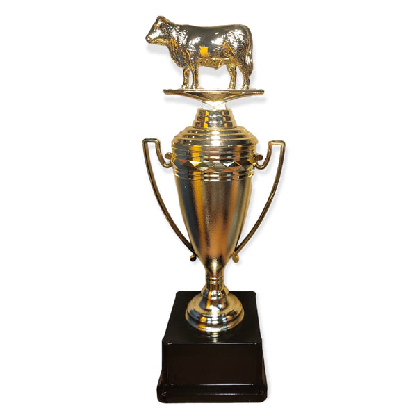 cattle judging award