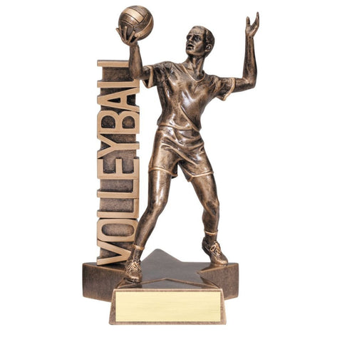 Bronze male volleyball player holding a voleyball above his head as if he is about to serve. The word "VOLLEYBALL" is displayed behind him vertically.