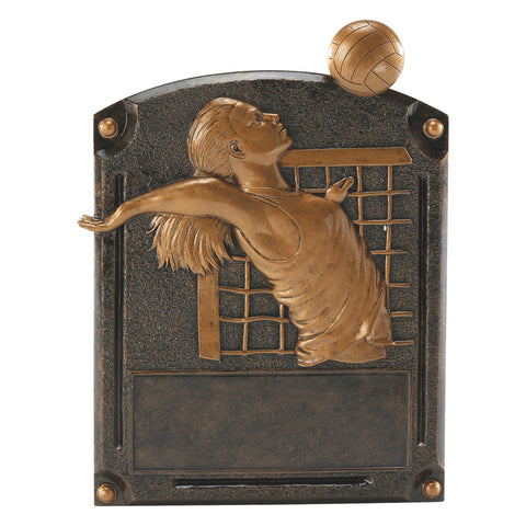 volleyball resin with free engraved plate